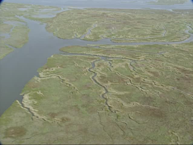 Creeks in Drowned Land of Saeftinghe in Dutch delta. During the biggest flood ever in 1570 Saeftinge was overflown and destroyed forever. Today it is a nature reserve.