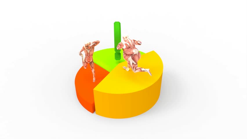 Human Anatomy diagram