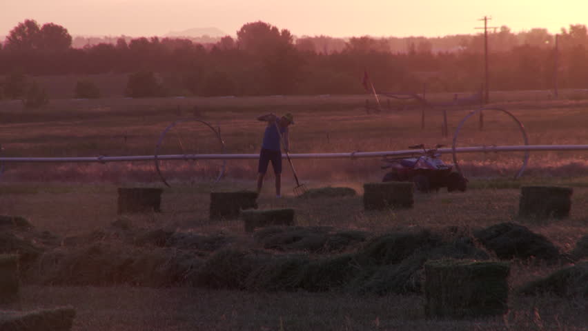 Sunset shot with hay bails and boy raking loose hay in distance