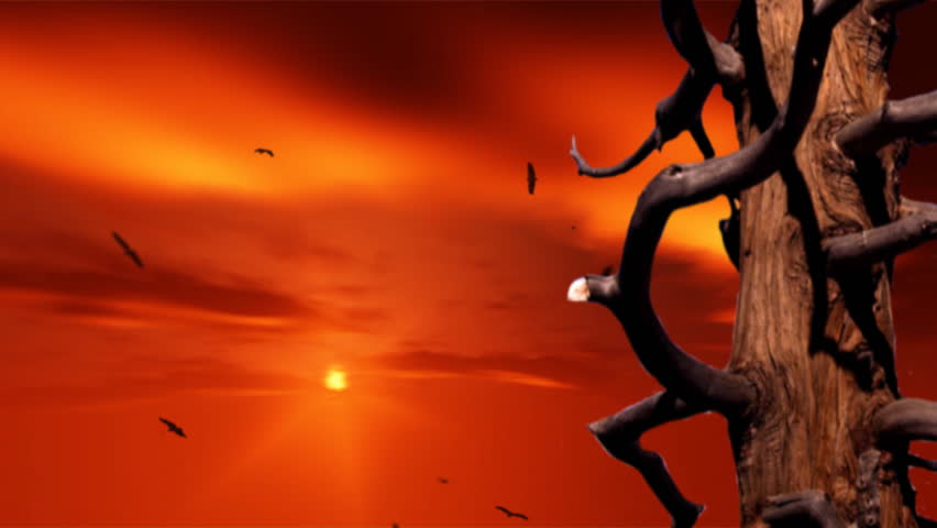 time lapse of clouds in the sky with birds circling and dead tree in foreground
