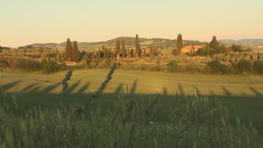 Val d'Orcia in the province of Siena in Tuscany, Italy at sunset