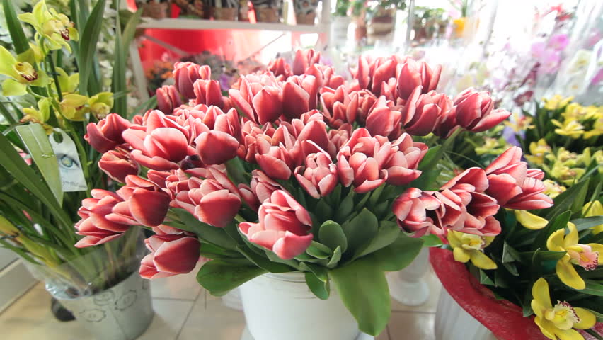 Fresh Cut Flowers And Arrangements In Florist Shop, Tracking Shot