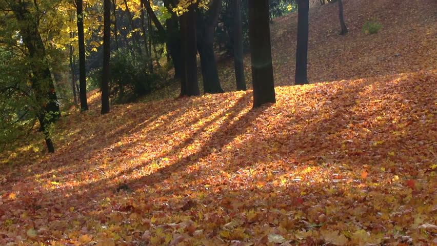 Autumn season