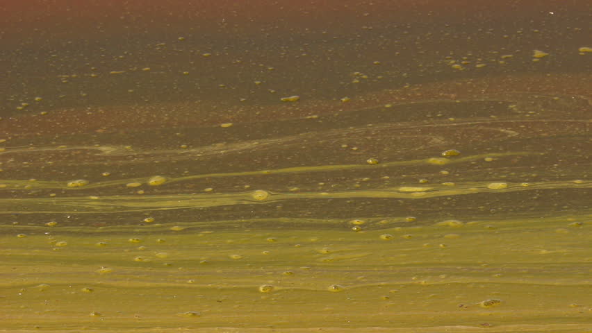ecology background - water environmental pollution