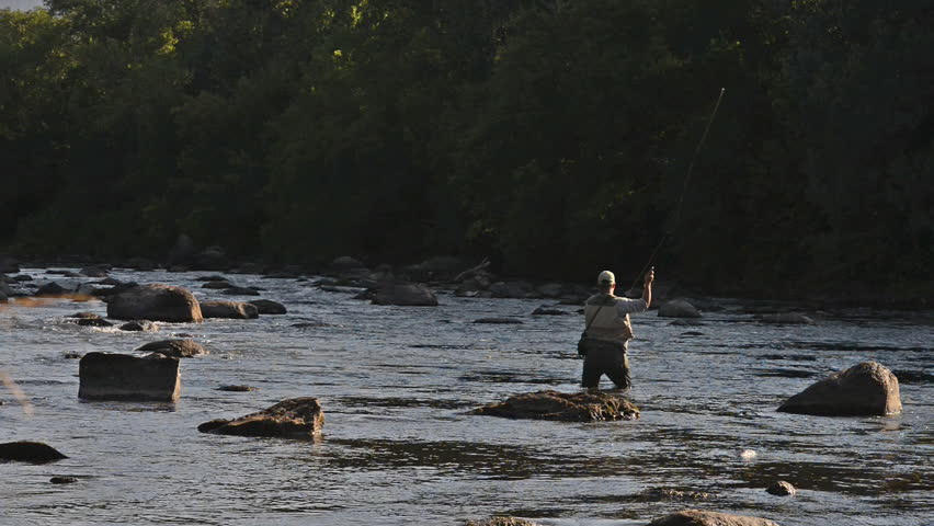 A wide shot of a man in waterproof overalls as he stands in a river and casts his lure with his rod while he spends his day fly fishing.
