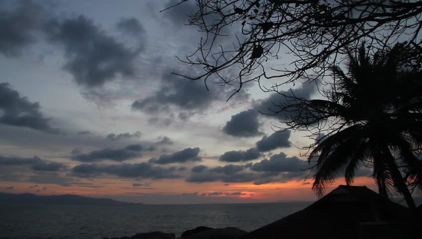 Sky and palm tree in Ko Phangan, Thailand