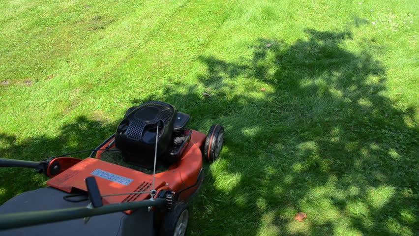 worker man with shorts and flip-flop shoes push mower cut lawn grass