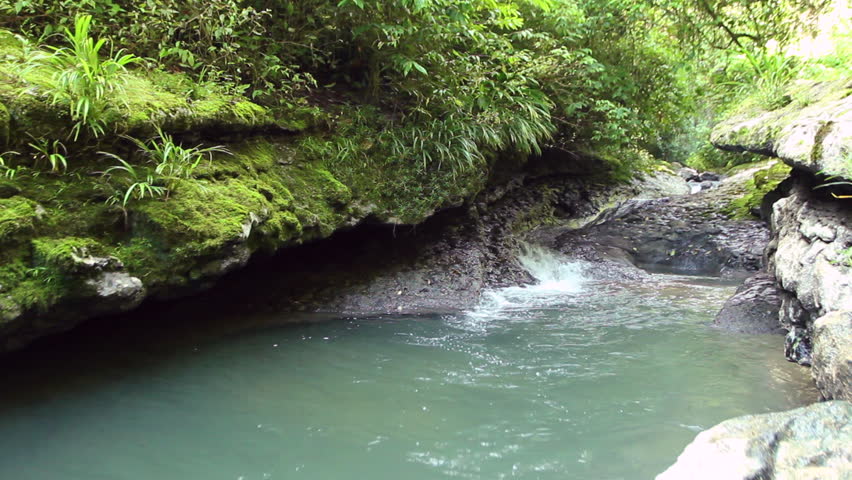 Rio Latas near Misahualli, Ecuador running through strata of limestone rock