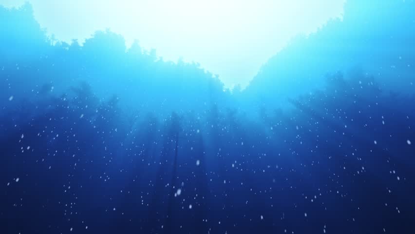 Twinkling sunlight streaks and falling snow in night forest. Seamless loop.