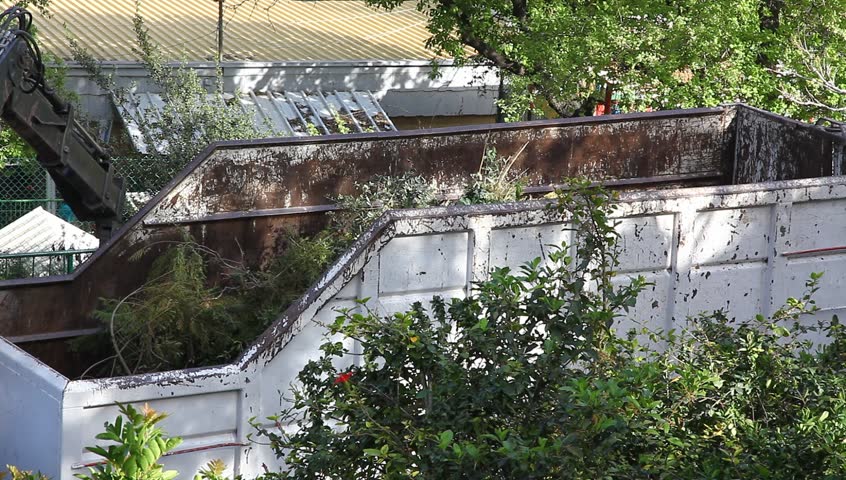 Municipal workers trim, clip, cut, prune, and clean trees