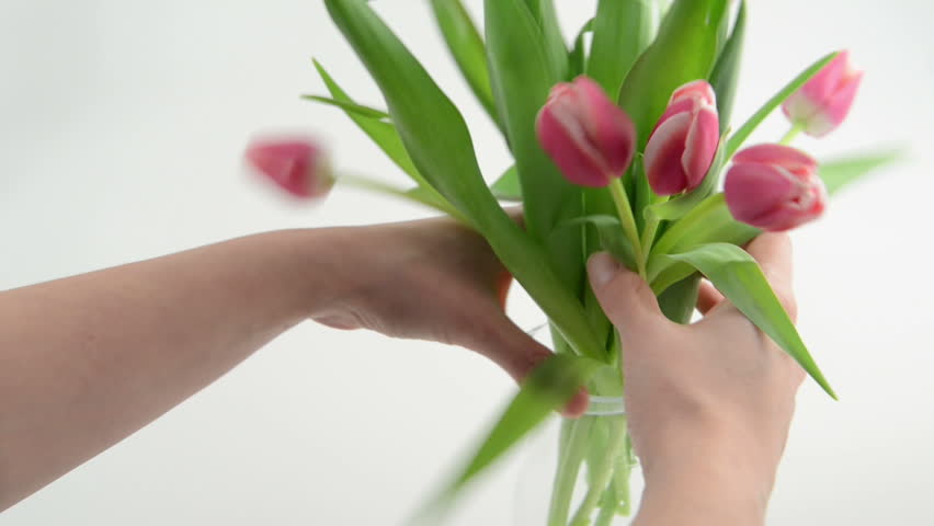 Tulip bouquet is placed in a carafe. 