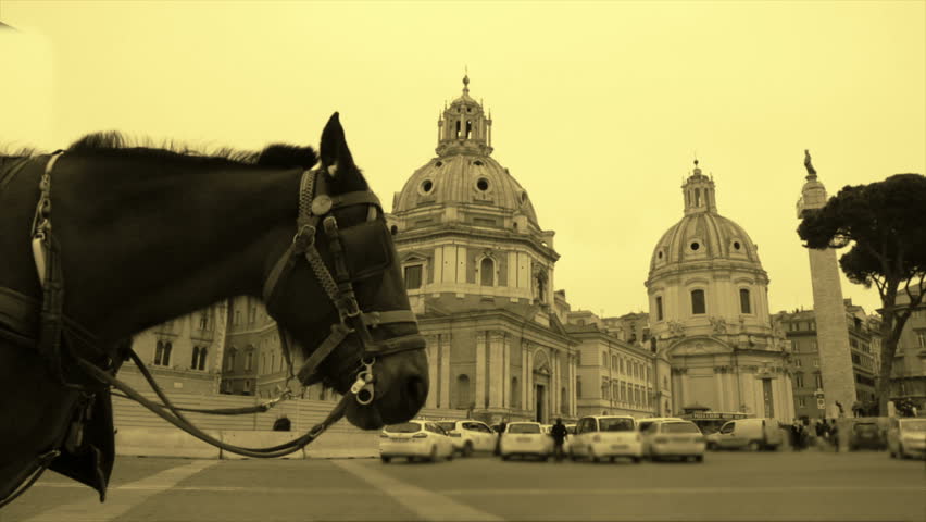 Horse with the reins of the carriage waiting for tourists to show them the landmarks of Rome. Vintage effect