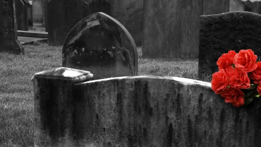 Very slow pan L/R of a bunch of roses on a blank gravestone