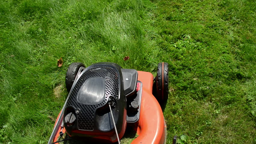 walk near move cut grass lawn mower cutter on garden meadow.