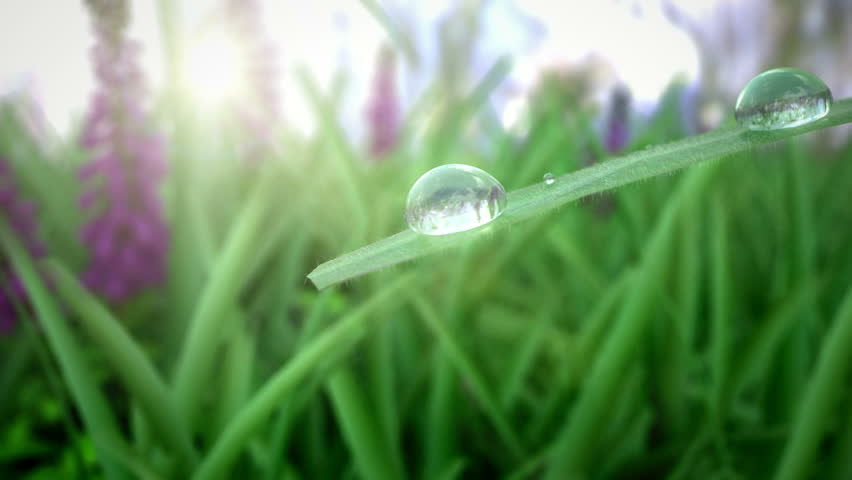 Merging Drops