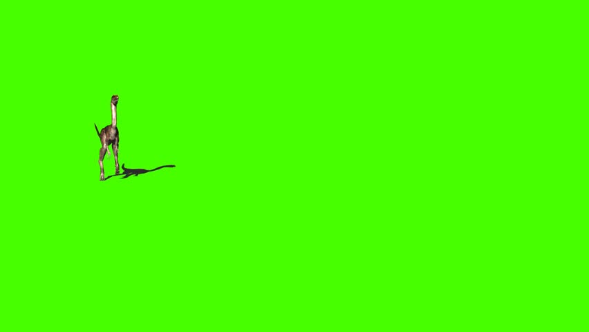 dinosaurs walking, green screen