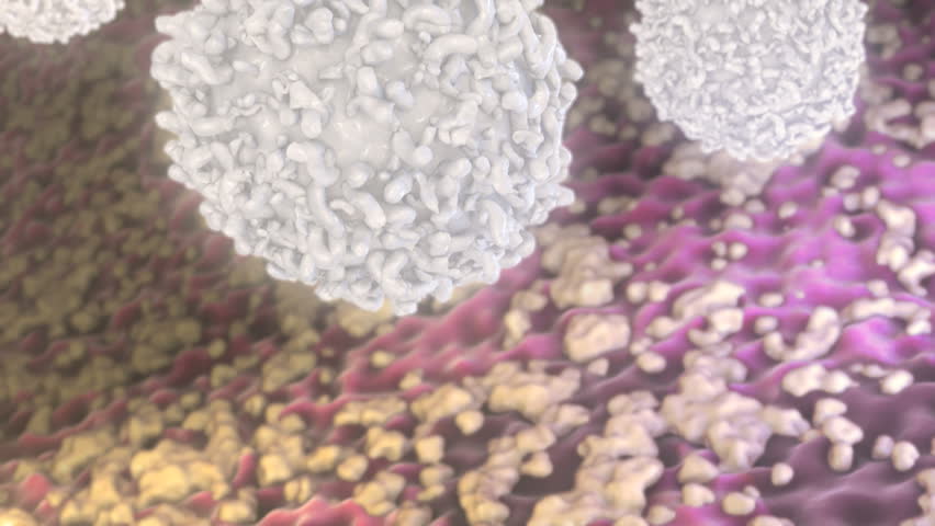 White Blood Cells.

White blood cells land down on a subtly mutating organic surface and gently bounce out of frame.