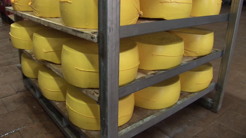 Plant for the production of cheese. cheese packaging