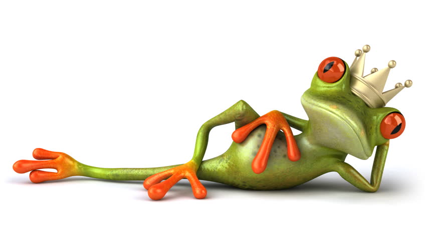 King frog