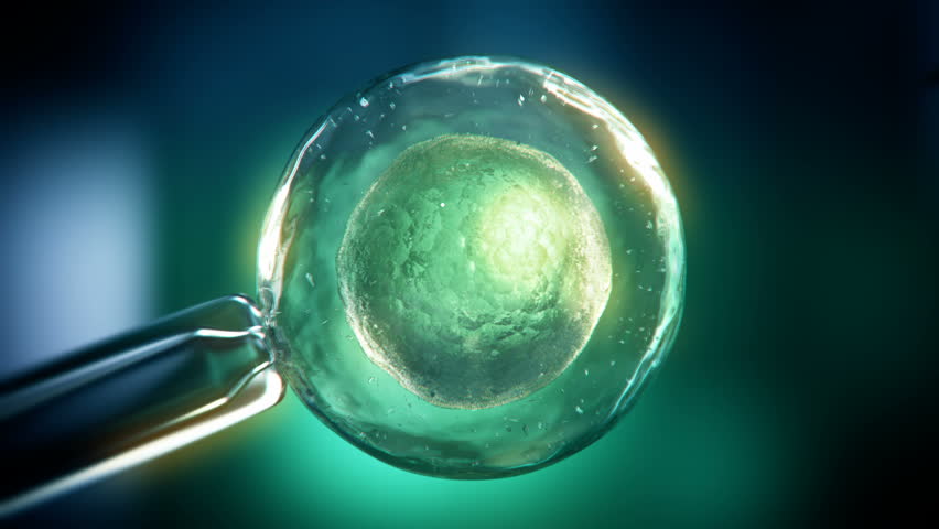 Simulation of In vitro fertilization.