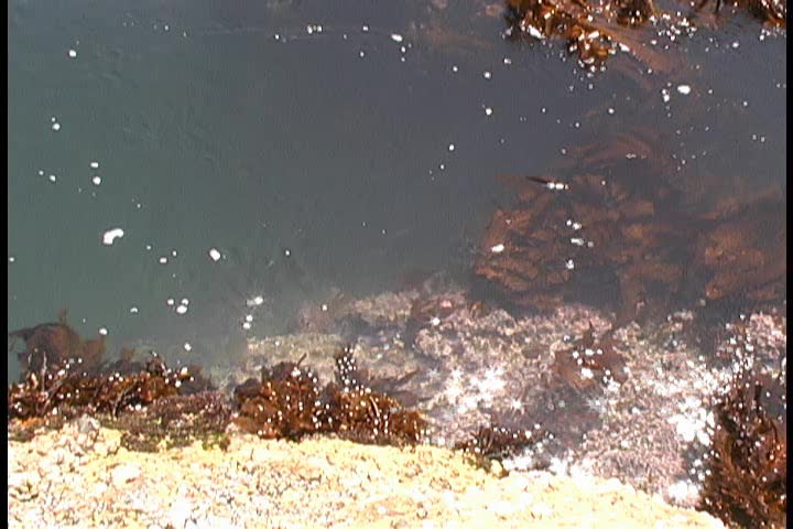Ocean water rising up and down through reef