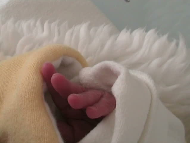 Hand of a new born baby (1 day old) slowly grasping. 
