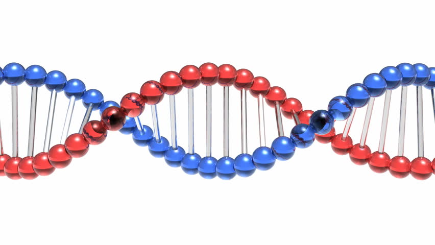 Biochemistry and biology scientific concept: rotating DNA molecule model isolated on white background with alpha mask