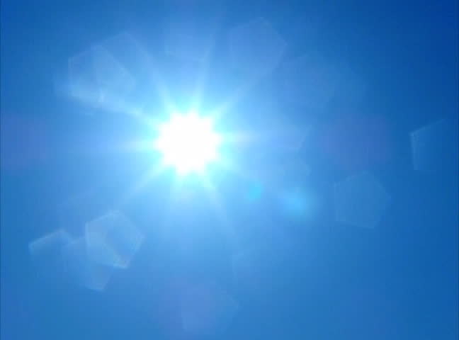 Seagulls flying over sunlight in slow motion loop 