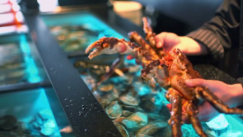 Restaurateur holds living marine crab in hands and puts them in aquarium
