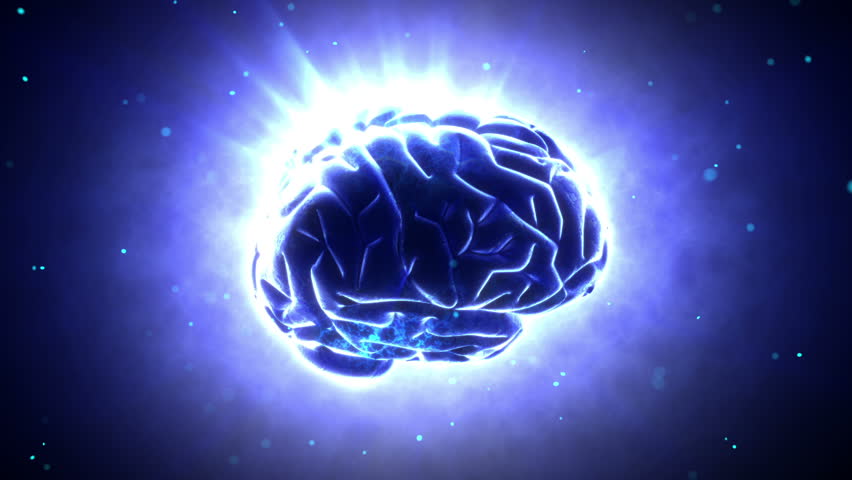 Brain images.