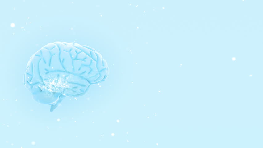 Brain images.