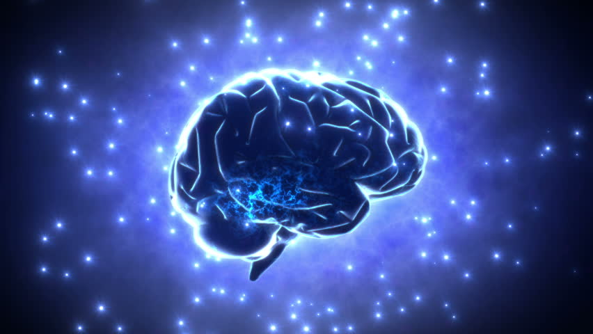 Brain images.
