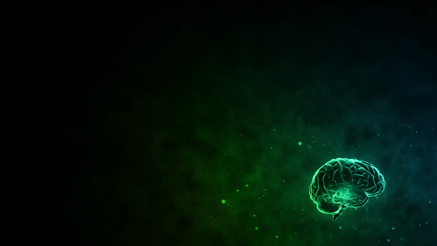 Brain images.