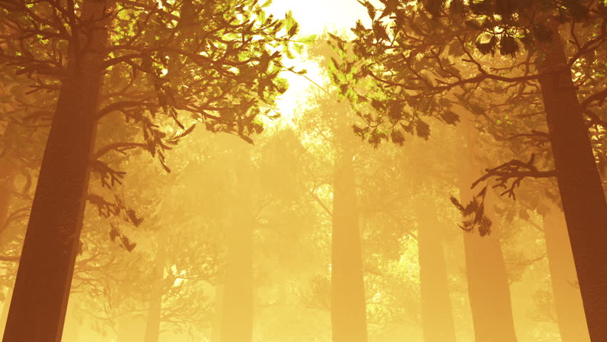 Deep Forest Fairy Tale Scene Fireflies 3D render