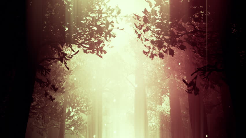 Deep Forest Fairy Tale Scene Fireflies 3D render