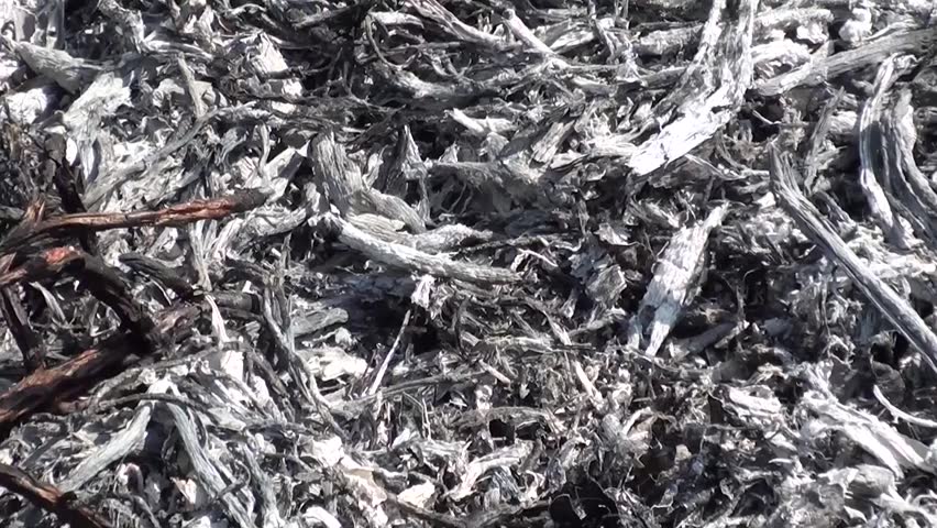 Ash left after bonfire, zoom out