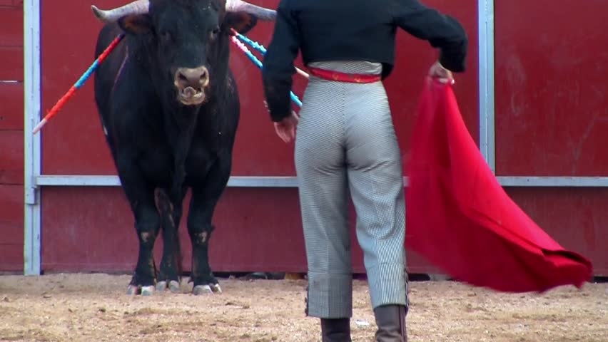 bullfight in spanish arena