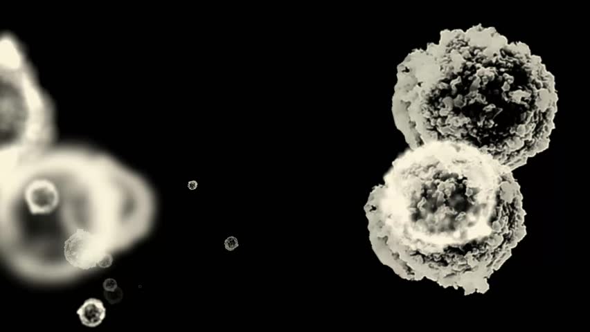 cells & virus,dust particles.