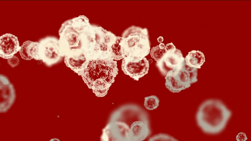cells & virus,dust particles.