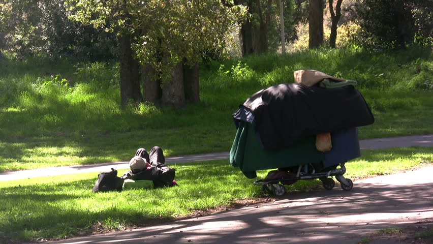 Homeless Man with Shopping Cart in Grass