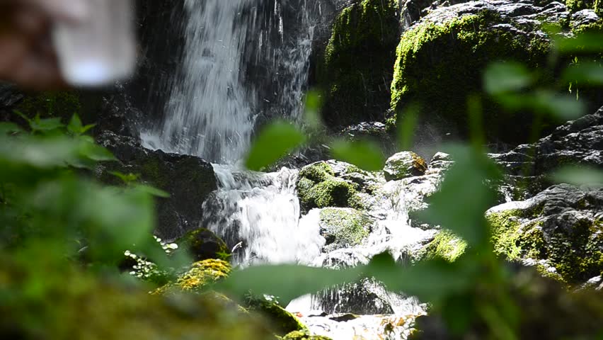 glass of drinking water near the foliage waterfall, dof selective focus