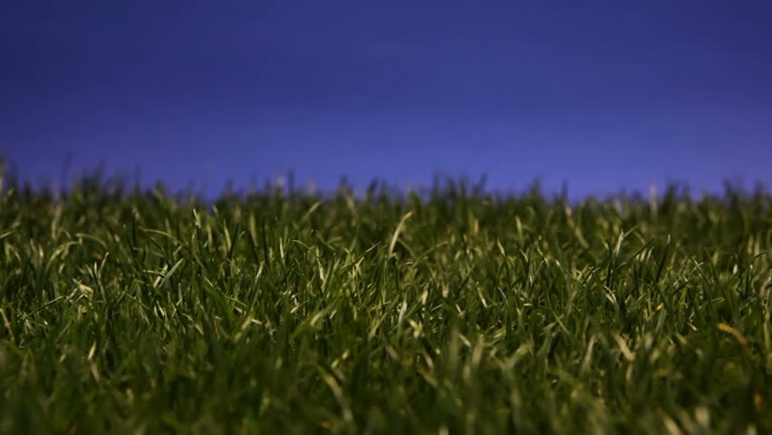 Compact fluorescent light bulb inserted into patch of grass and lighting up