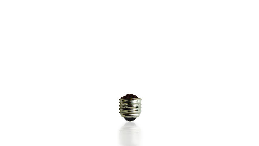 Tree growing from am old bulb with ground reflection,green energy concept,Alpha included