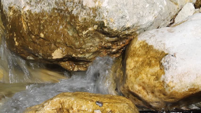 stream in the wood
