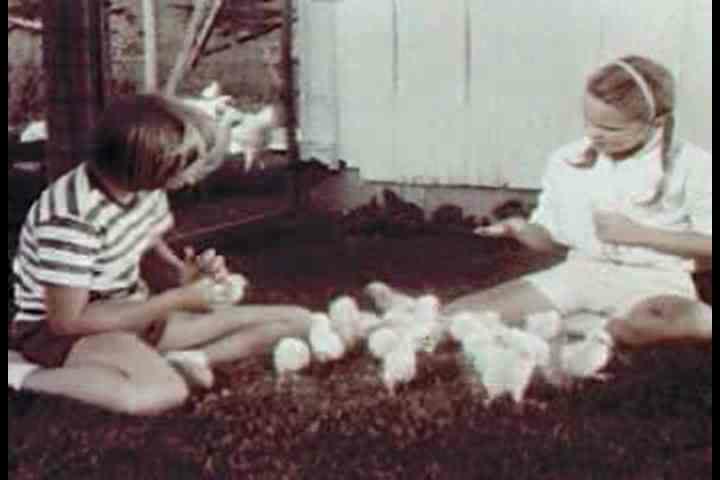 1960s - Kids play and have fun during summer vacation on a dairy farm in 1963.