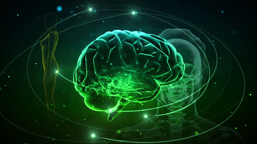 Brain images.