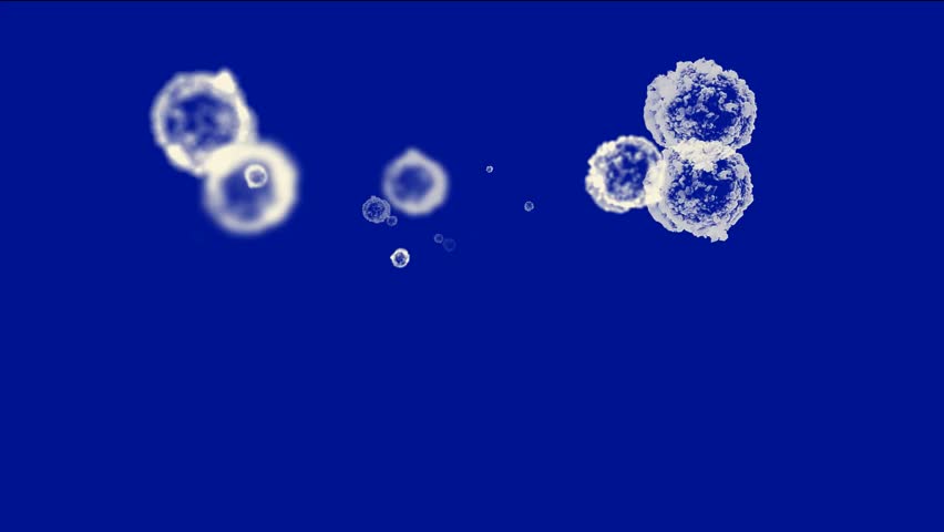 cells & virus,dust particles.