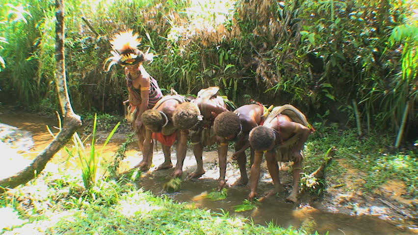 PAPUA NEW GUINEA - NOV.4: Huli wigmen tribal warriors ceremony, purifying the hair, in the Mt. Hagen Highland area in Papua New Guinea, November 4, 2008.