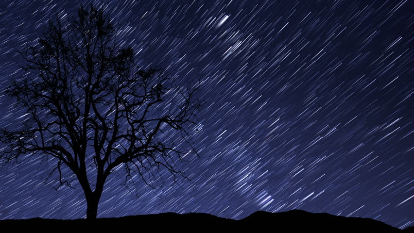 A time lapse of a starry night with a shadow of a tree in foreground and with a star trail effect. Made with Nikon D800 and 14-24mm lens. 10940 
