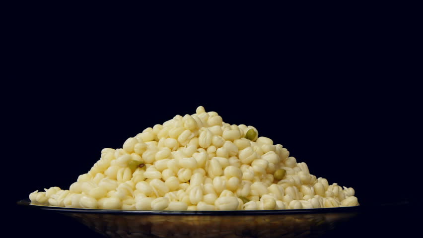Mung bean sprouts rotating on a black background